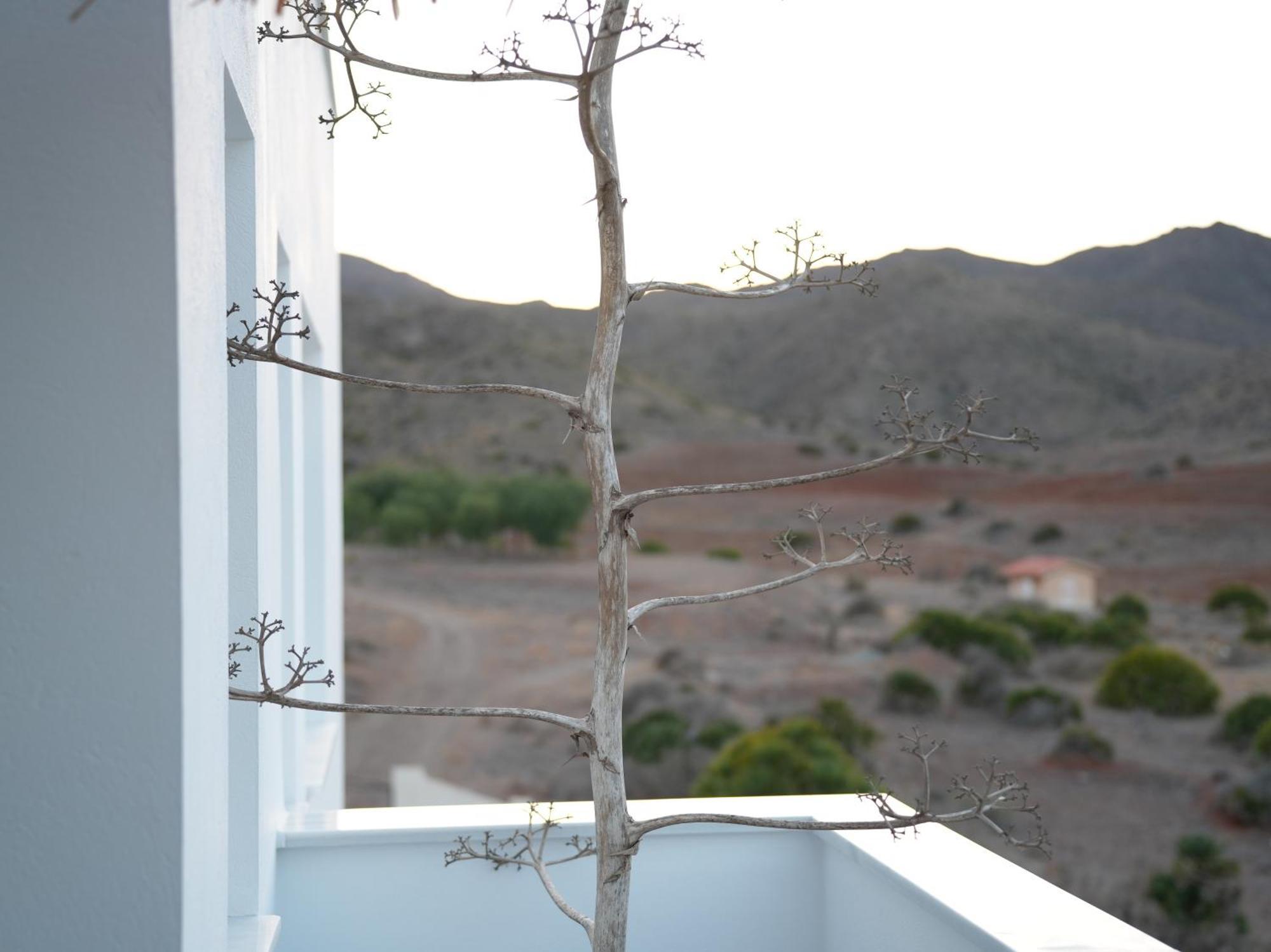 Senses Villa Сан-Хосе Экстерьер фото